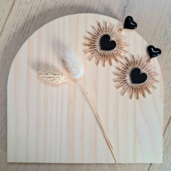 Boucles d'oreilles Cœur Etincelant